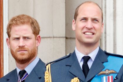 Prince Harry and Prince William ‘s reunion will be a ‘long time waiting’