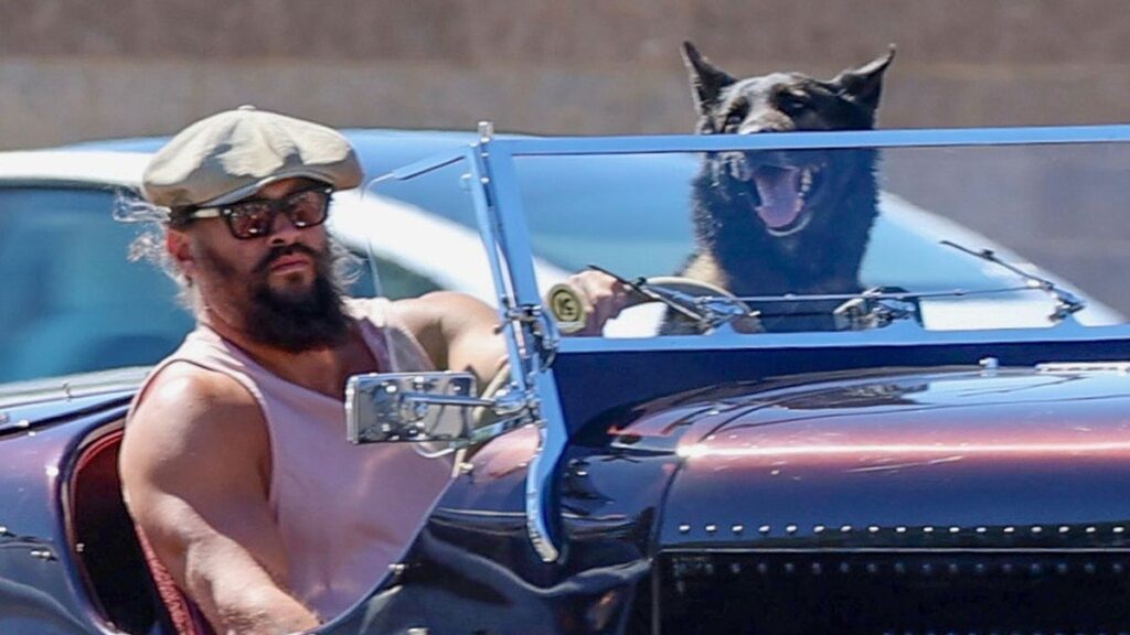 Jason Momoa’s dog steals the show on a vintage Bentley cruise