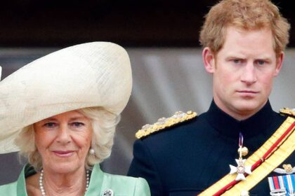 Queen Camilla owed ‘outstanding debt’ by stepson Prince Harry: ‘Chances are slim’