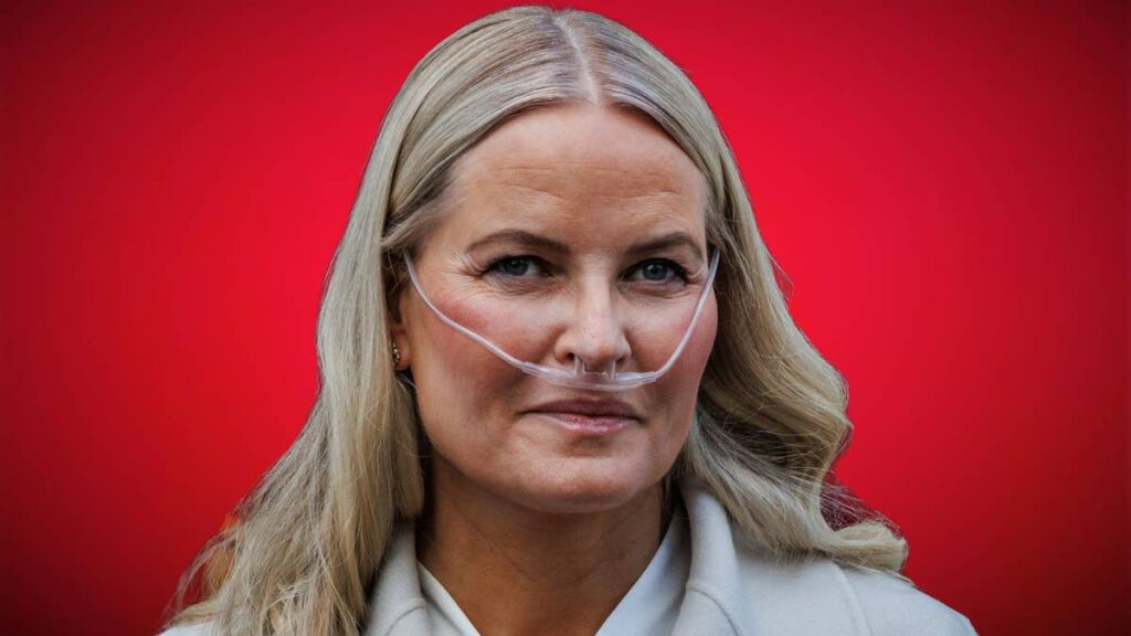 Inside Crown Princess Mette-Marit’s real ‘annus horribilis’