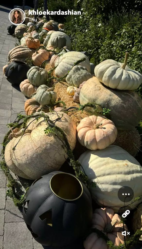 Khloe Kardashian's pumpkins in a row on her drive