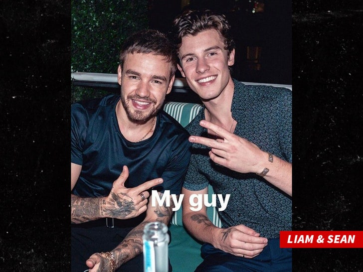 liam payne shawn mendez