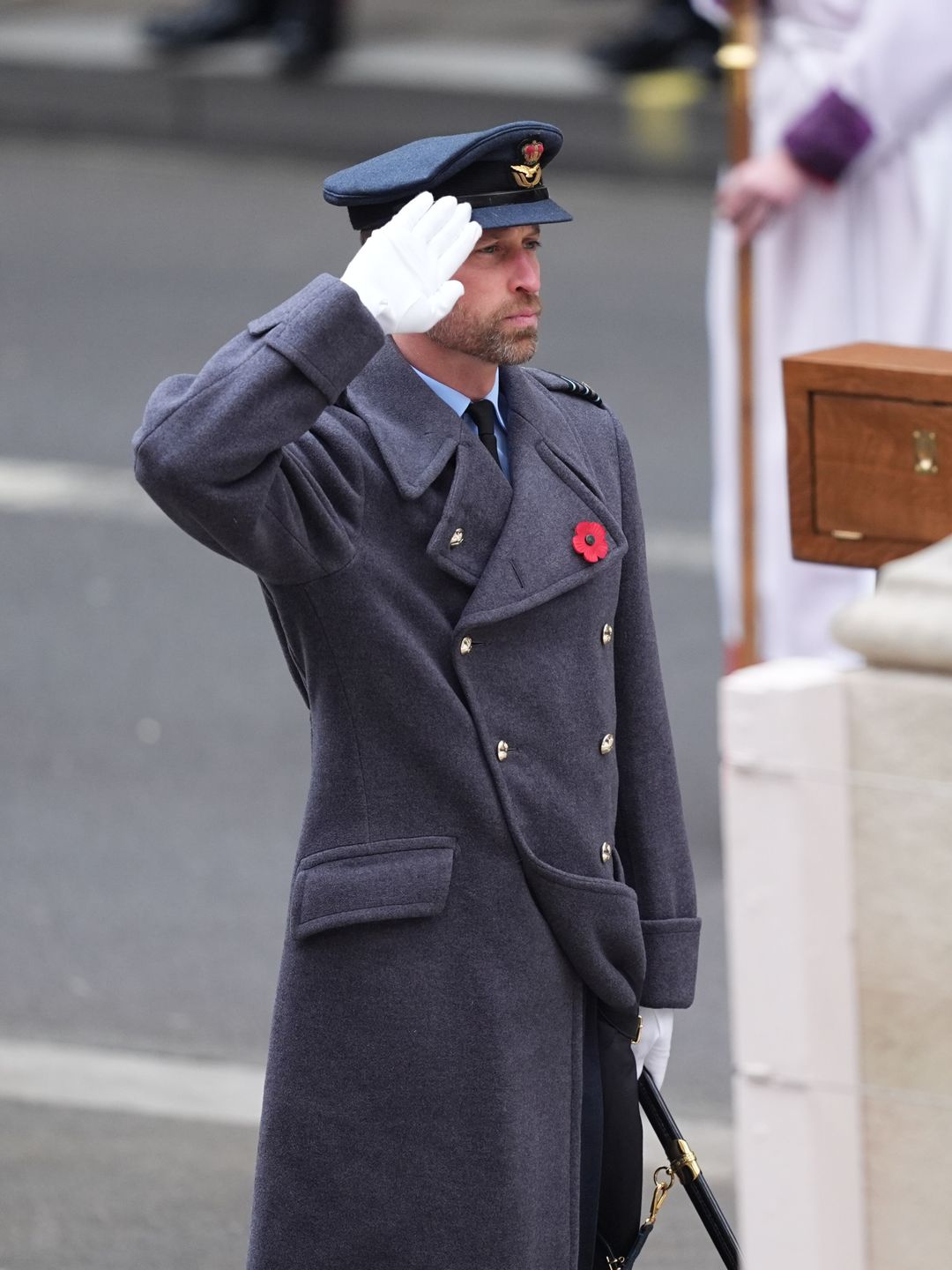 prince william saluting