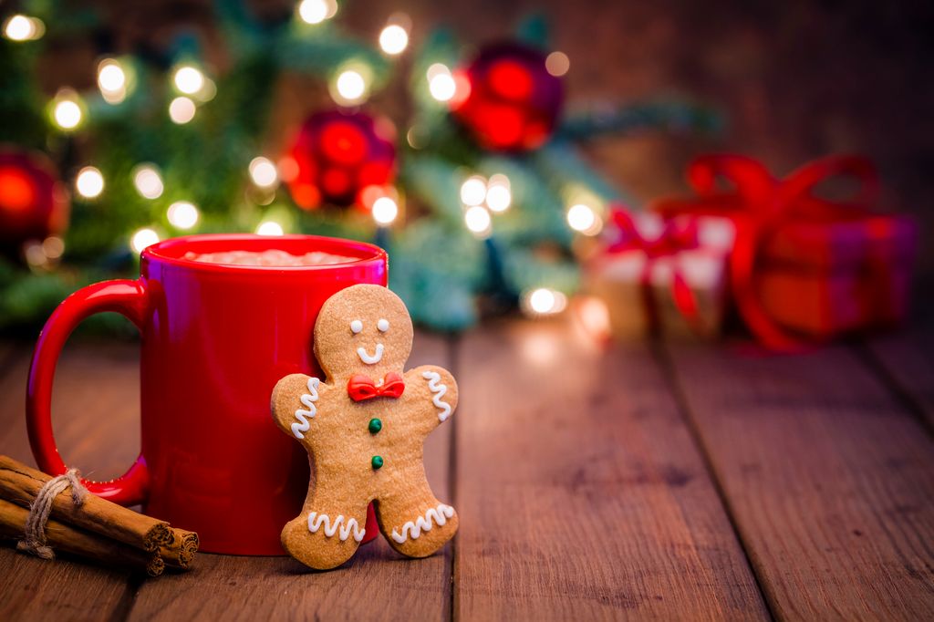 Homemade hot chocolate mug with and Christmas cookie shot on rustic wooden Christmas table. Yellow Christmas lights and Christmas decoration complete the composition. Predominant colors are red and brown