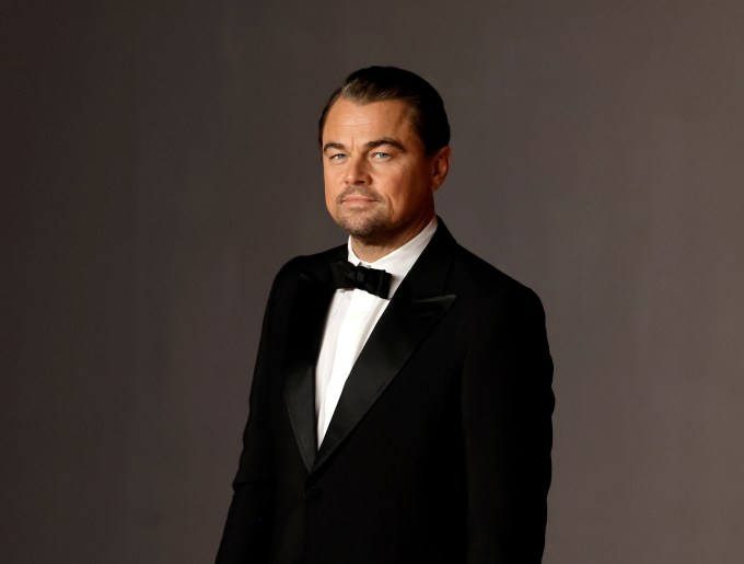 Leonardo DiCaprio