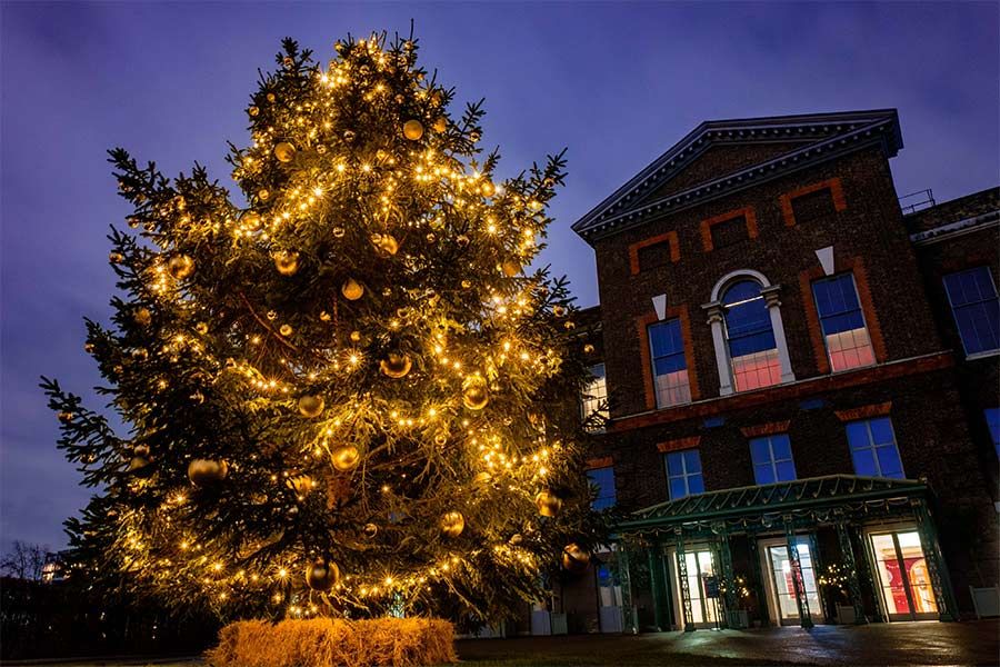 kensington palace christmas tree