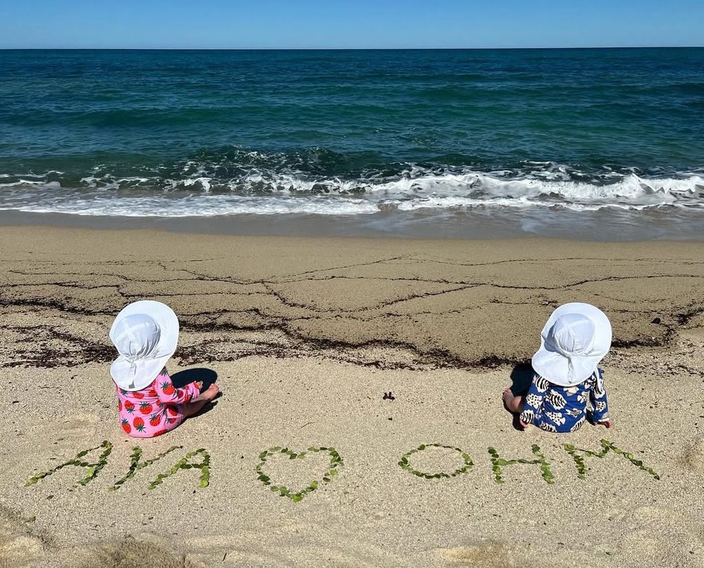 Hilary Swank shares adorable picture of twins Aya and Ohm