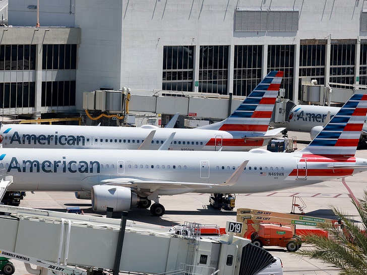 American Airlines Grounds All Flights on Christmas Eve Due to Technical Issue