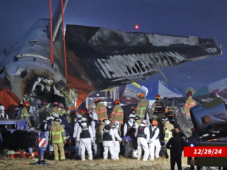 jeju airplane crash