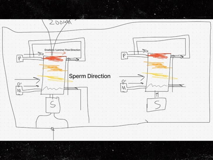 sperm-race-spermracing-1