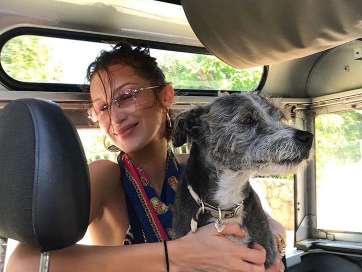Bella Hadid's Bikini-Clad Vacation