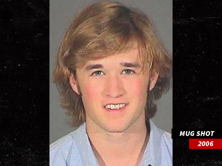 Haley-Joel-Osment-mug-shot-2006-1