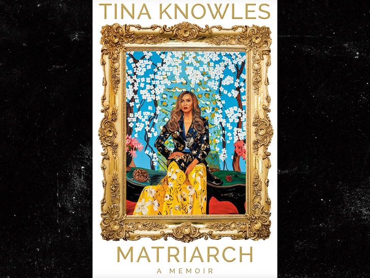 tina knowles book 1