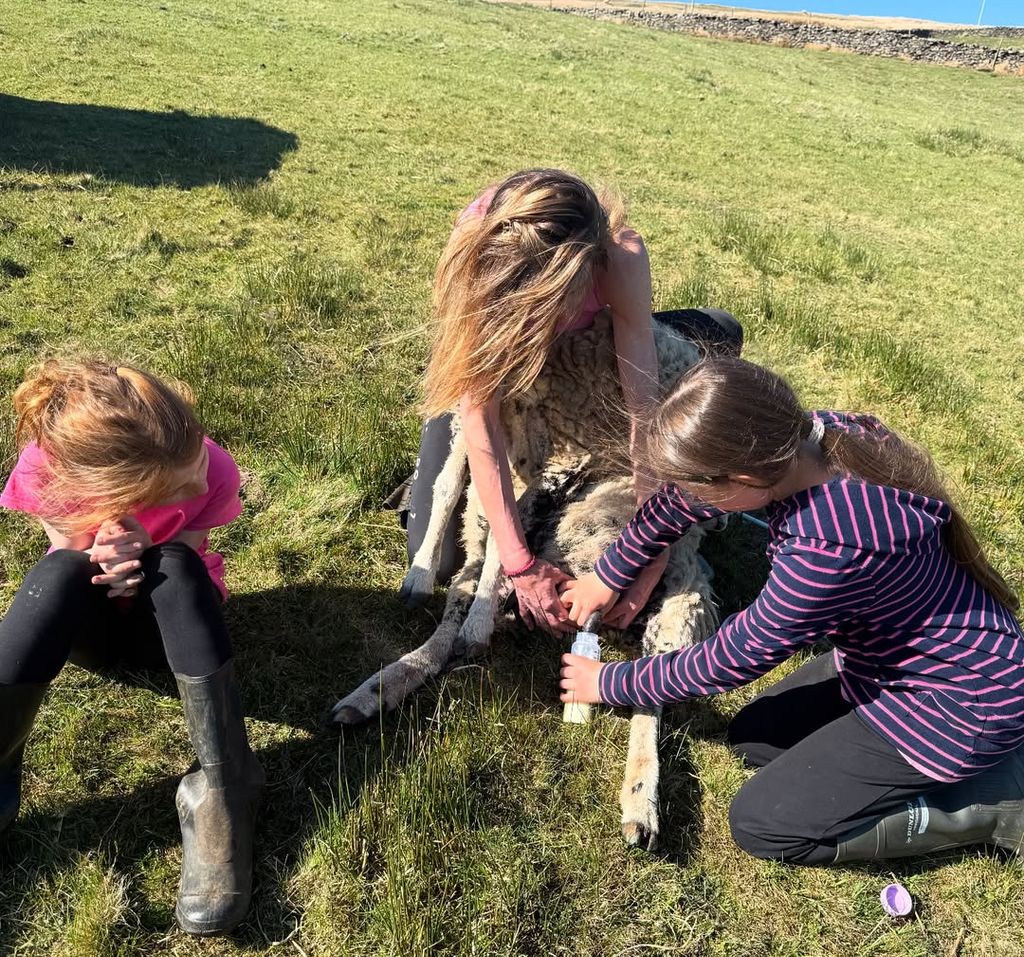 Amanda Owen and her daughters feeding a lamb