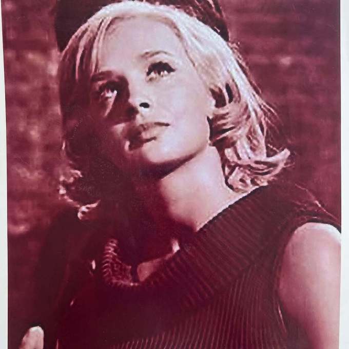 Caroline D’Andrea