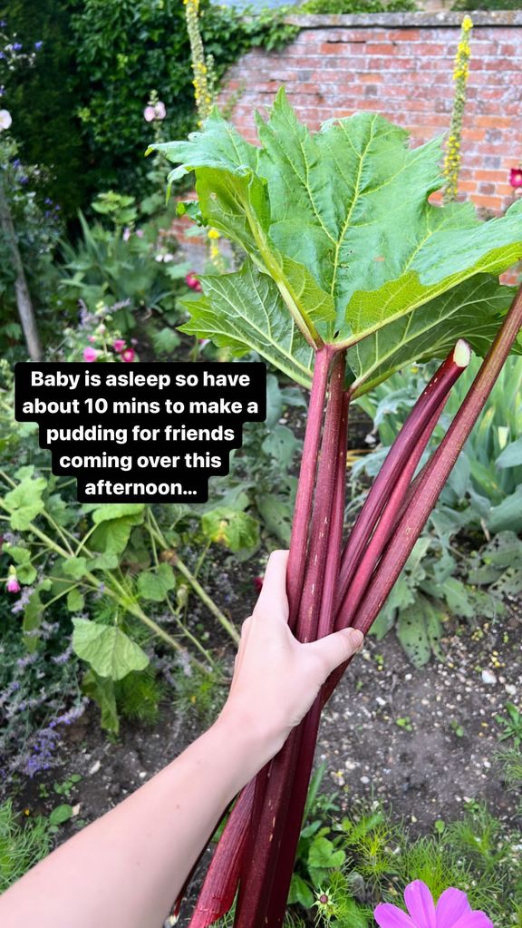 Carrie showed off the couple's stunning garden