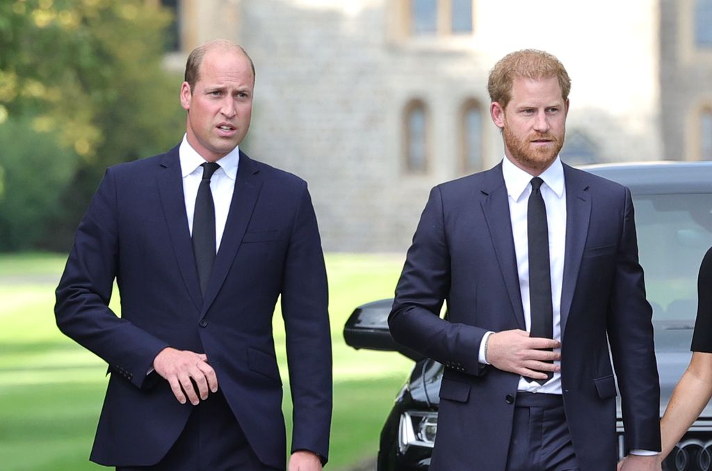 Prince William and Prince Harry