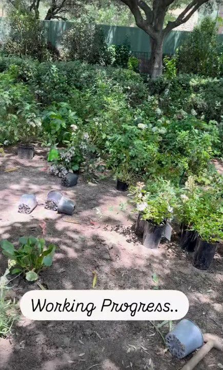 photo of richard gere backyard at home in spain
