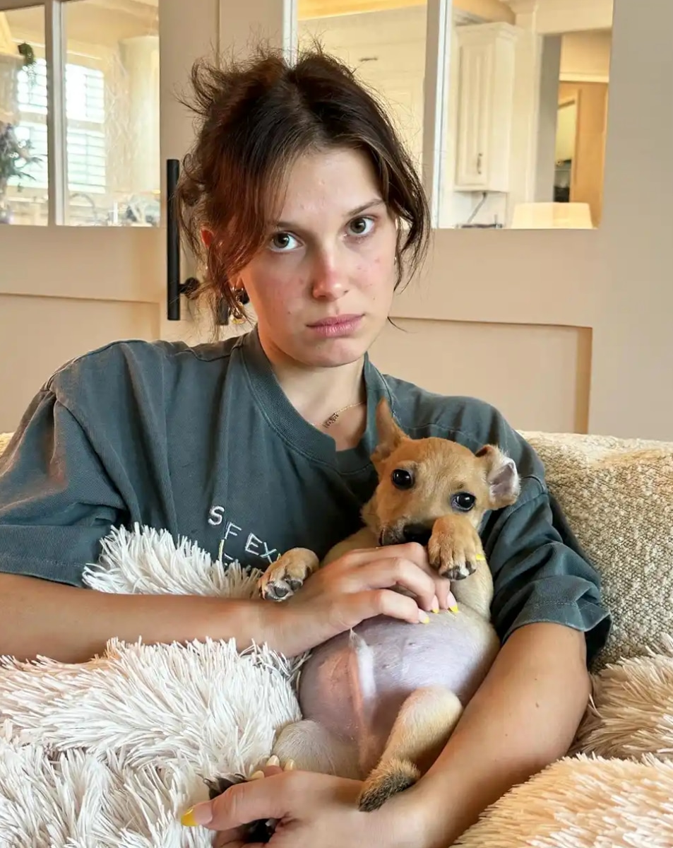 Millie Bobby Brown and Jake Bongiovi have multiple dogs and cats