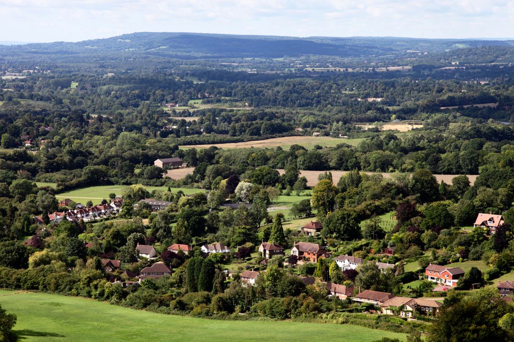 The Surrey countryside is a hit with celebrities 