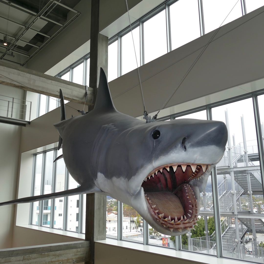 A plastic replica of "Bruce", the shark from Steven Spielberg's 1975 film classic "Jaws", hangs in the Academy Museum. Here, visitors can experience what it feels like to receive an Oscar on stage in front of over 3,000 guests in the Dolby Theatre. The "Oscars Experience" at the Academy Museum in Los Angeles invites visitors to do just that.