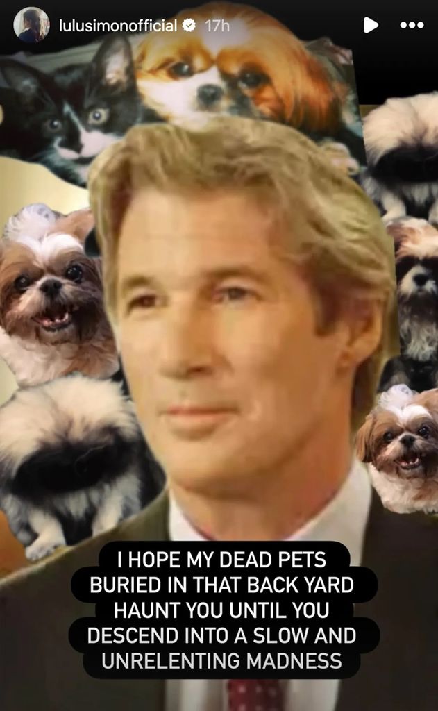 photo of richard gere superimposed onto pictures of cats and dogs