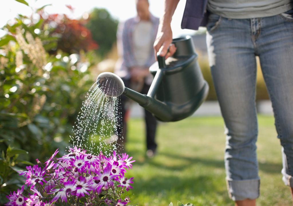 Watering cans are usually permitted instead