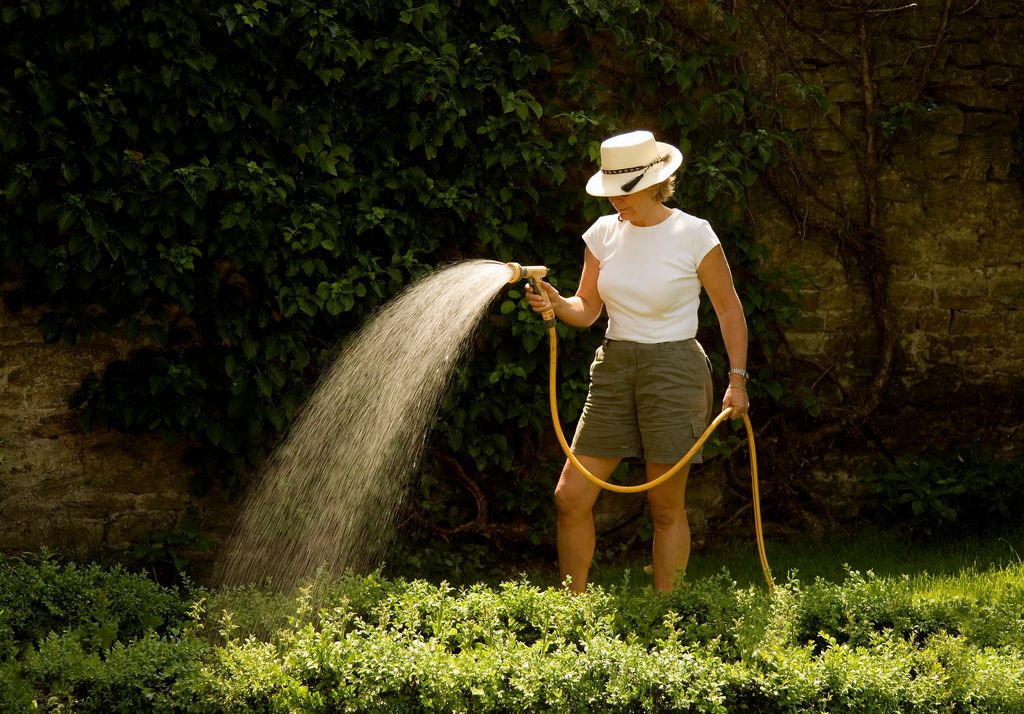 woman watering the garden with hose pipe