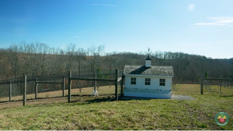 carrie underwood chicken coop 