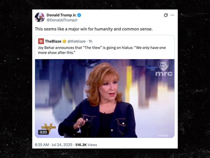donald trump jr the view x 1