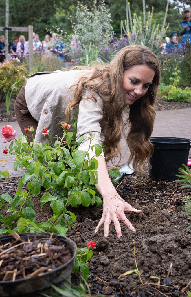 Kate Middleton planting roses without wearing gloves