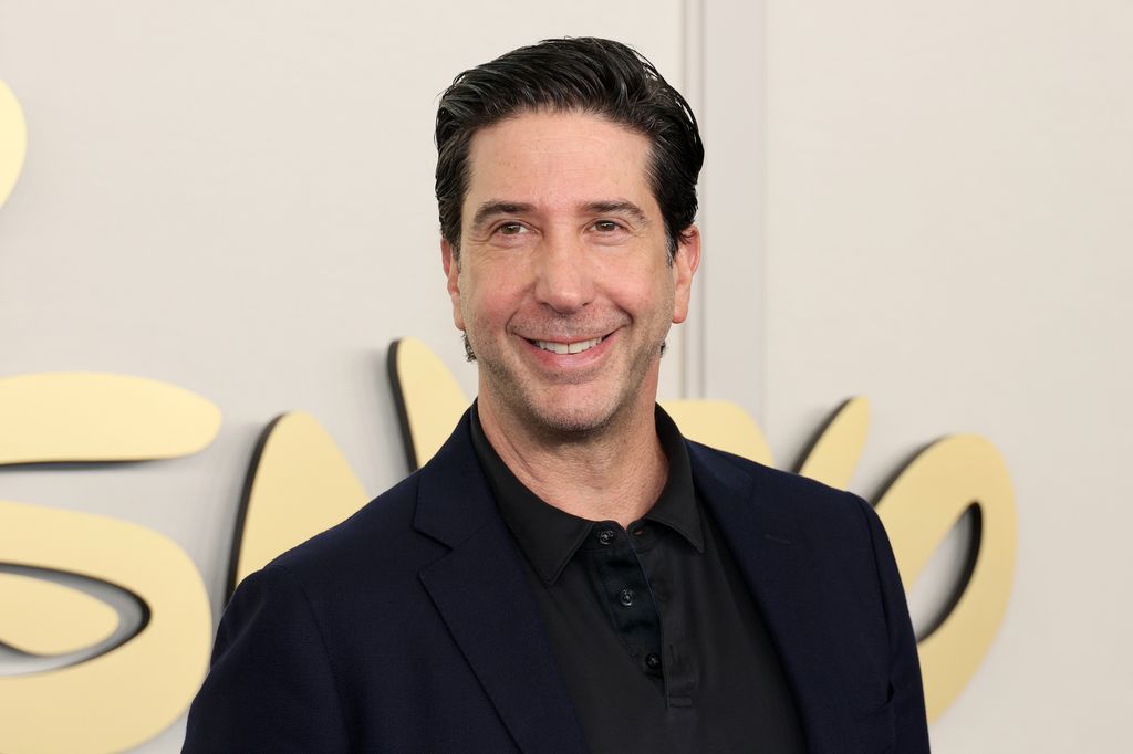 Friends star David Schwimmer, 58, debuts new love Eliana Jolkovsky, 29, on romantic date night
