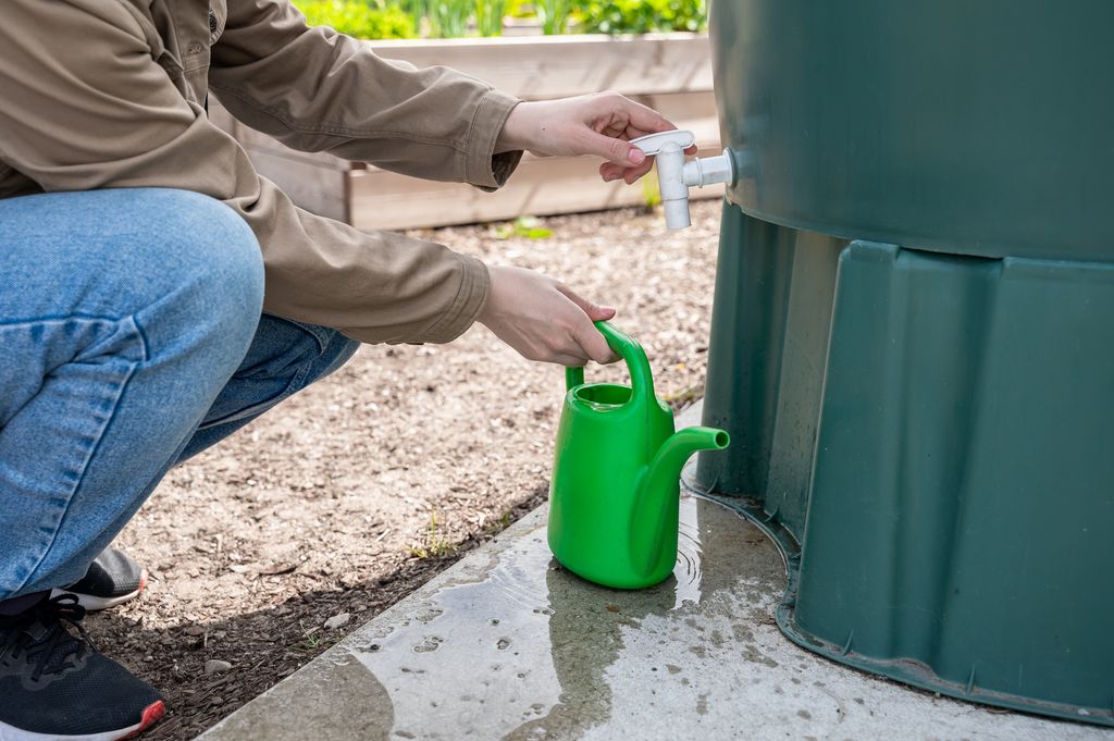 Man emptying water butt 