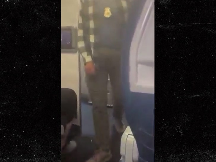pilot_arrest_agent_