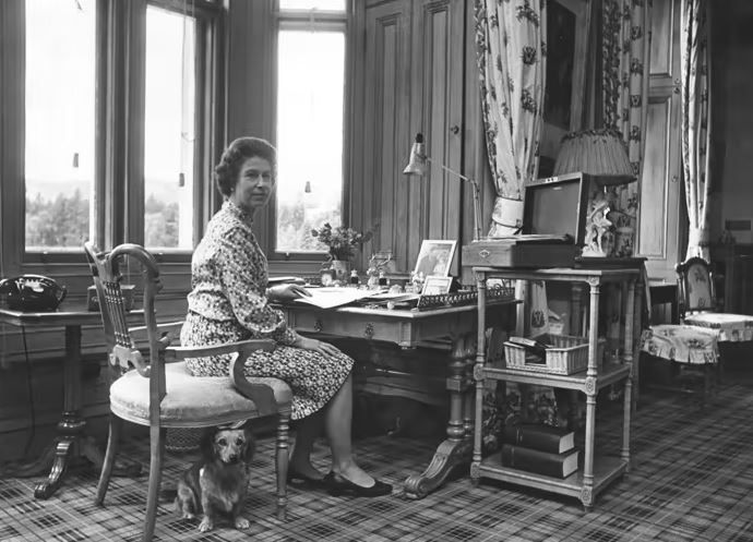 balmoral queen desk corgi