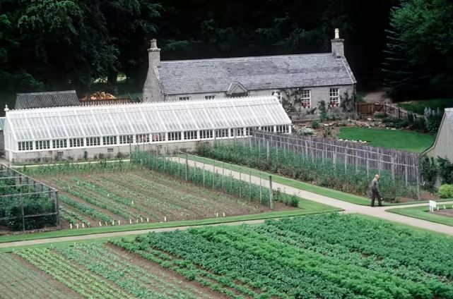 balmoral gardens