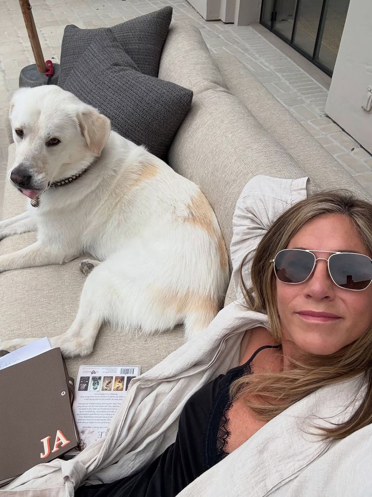 jennifer aniston dog couch