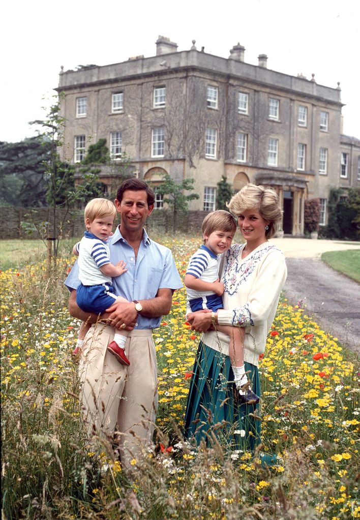 prince william and harry in striped shirts 