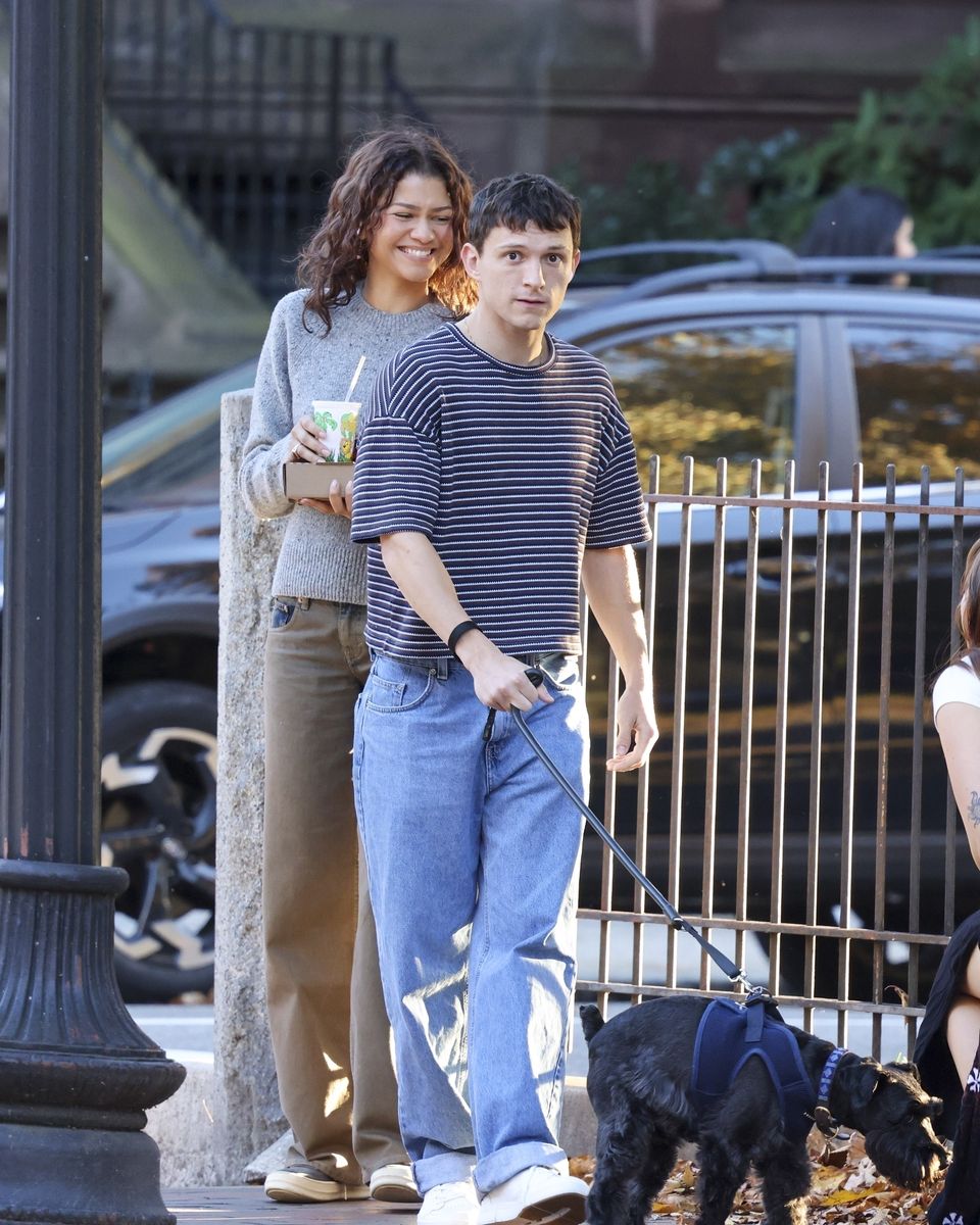 Zendaya and Tom Holland were seen strolling with their dog around Boston as Zendaya took a break from filming