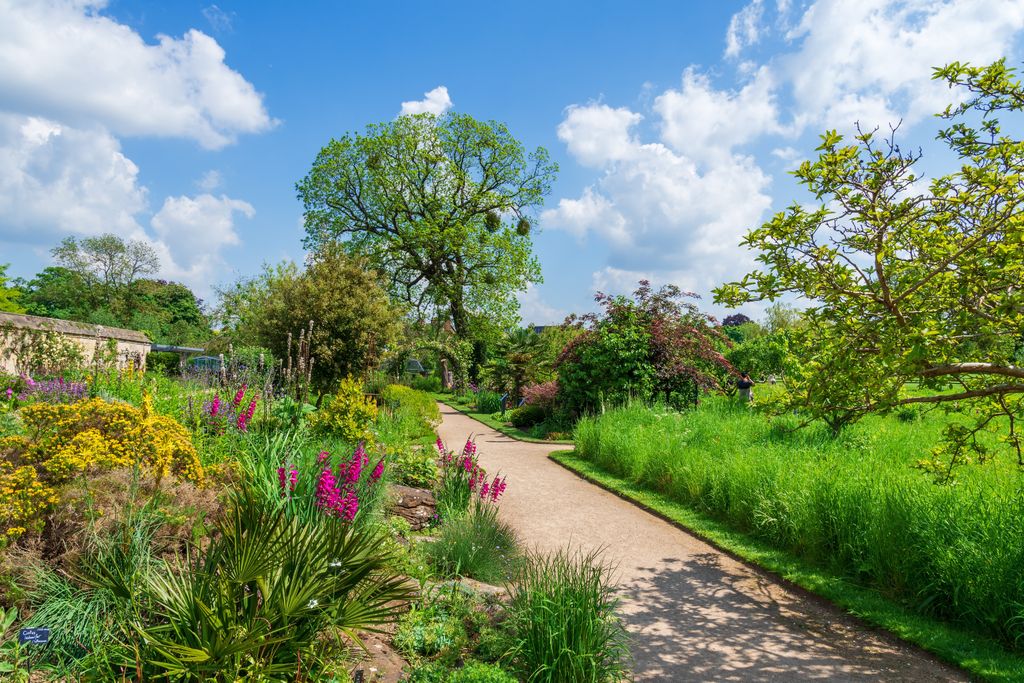 Landscape View Of The Most Beautiful Botanic Garden