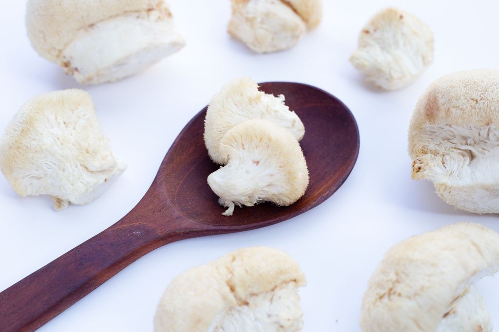 Lion's mane mushrooms can help with focus and mood