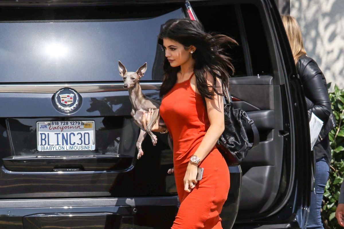 LOS ANGELES, CA - JUNE 03: Kylie Jenner promotes TopShop at the Grove with her dog Norman on June 03, 2015 in Los Angeles, California.  (Photo by Papjuice/Bauer-Griffin/GC Images) 