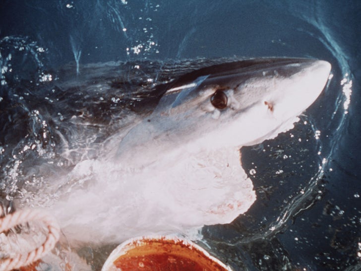 0818-Jaws-SUB