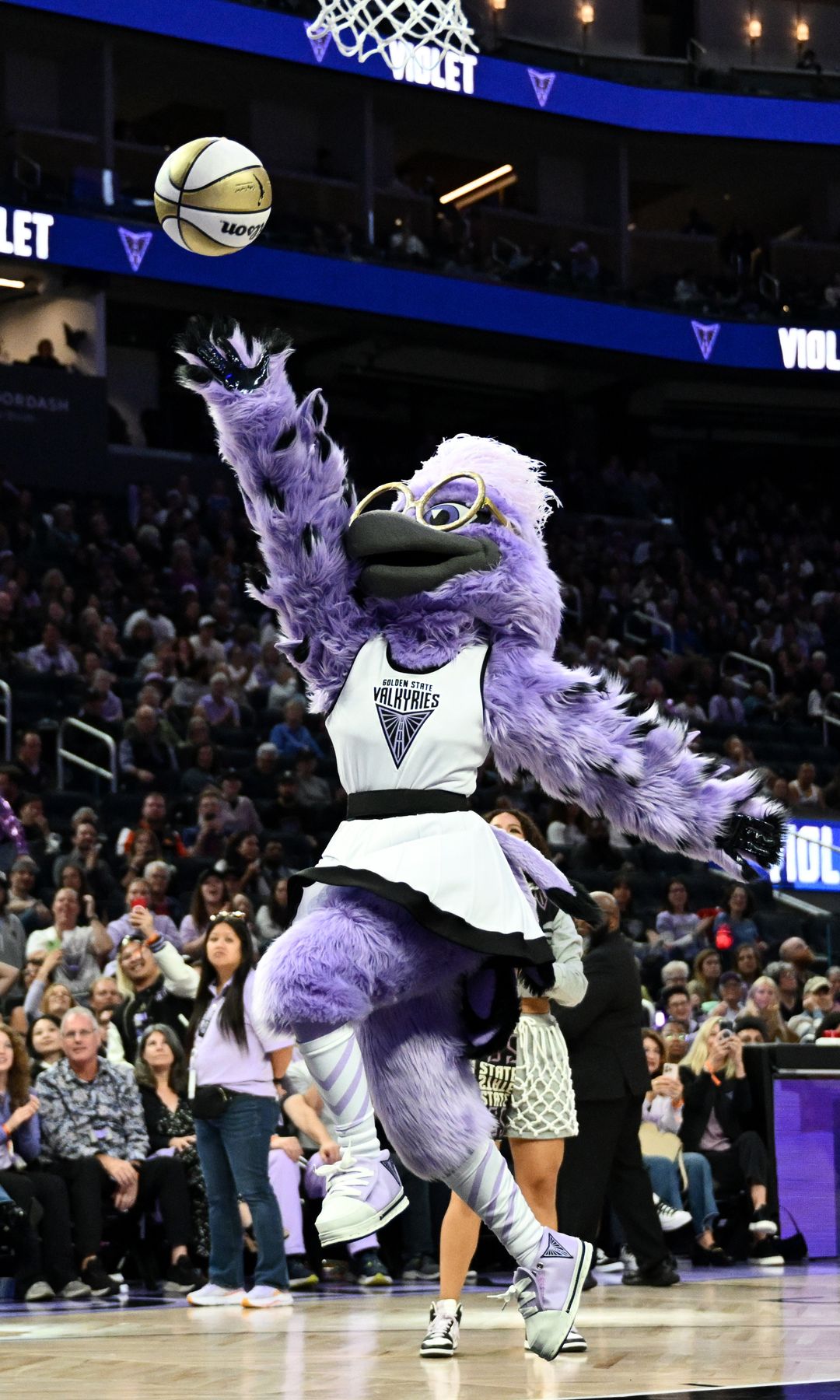 Violet the Raven made her debut this past Monday