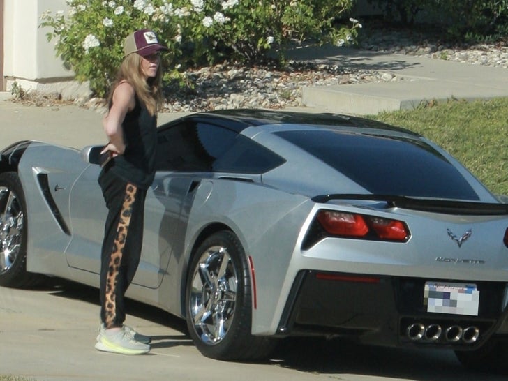 0804-Denise-Richards-Car-Restraining-Order-SUB