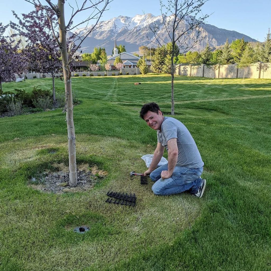Donny's expansive garden