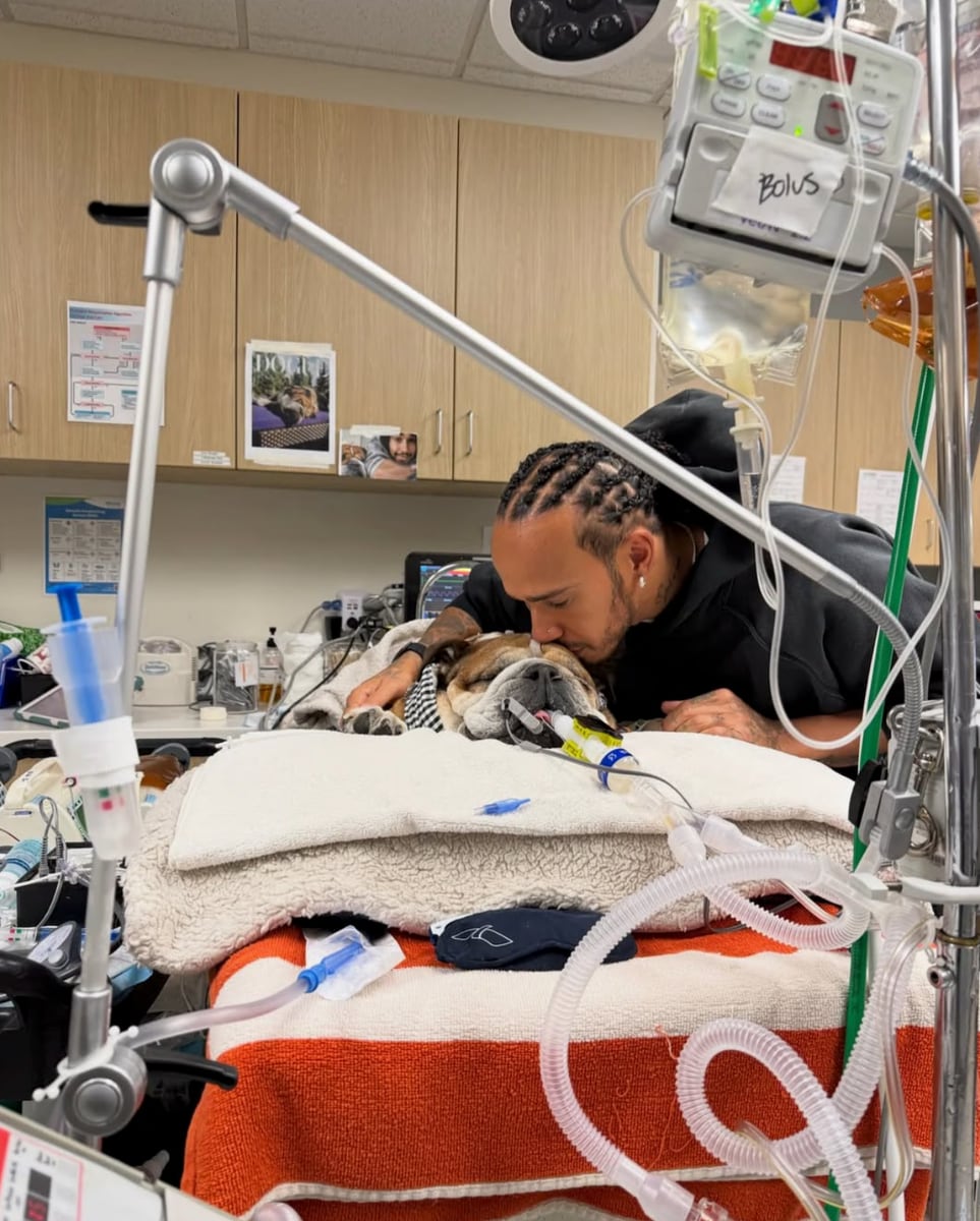 The bond between Hamilton and Roscoe has touched many fans worldwide.