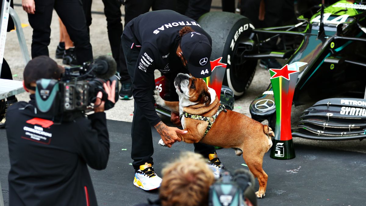 As Hamilton remains by Roscoe’s side, he asks fans to keep his loyal bulldog in their thoughts.