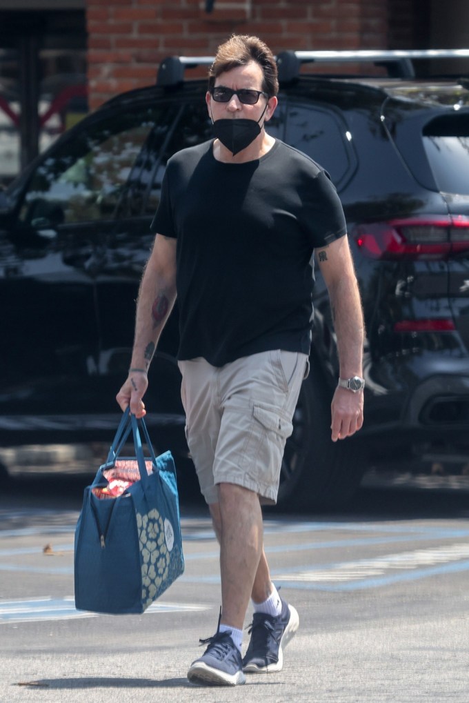 Charlie Sheen In Malibu