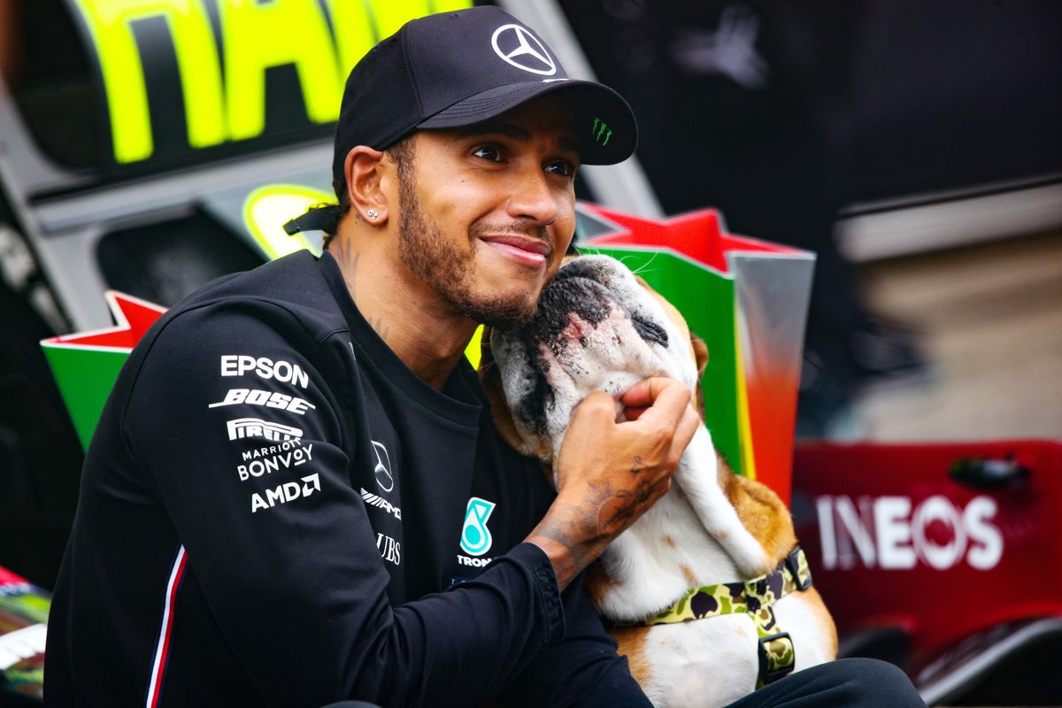 Roscoe is often seen traveling with the F1 star to races, starring in commercials, and even making an appearance in the recent Formula 1 movie.